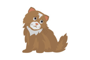 Brown Fluffy Emotional Cat