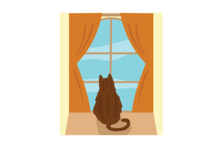 Cat Looking out Window