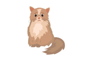 Fluffy Emotional Cat