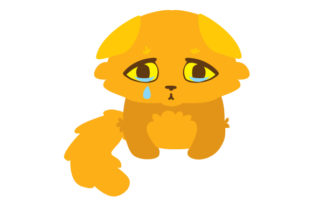 Fluffy Emotional Cat Crying