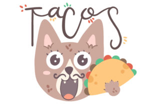 Mexican Cat with Taco