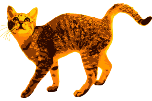 Pumpkin Cat Vectorized Cat